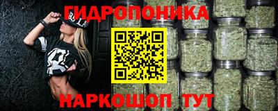 стафф Пенза