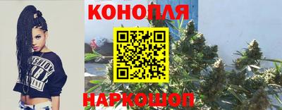spice Партизанск