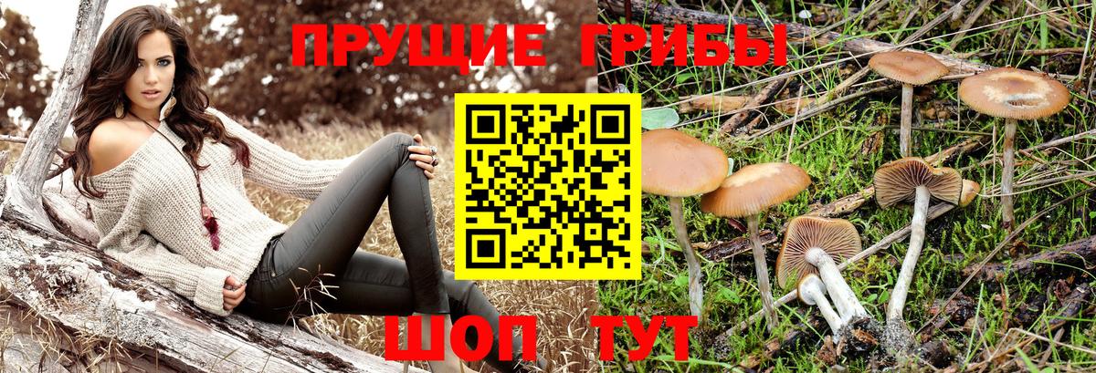 Галлюциногенные грибы MAGIC MUSHROOMS Реутов